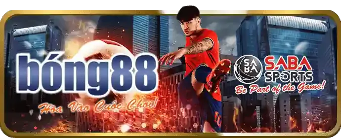 Chương trình VIP và hoàn trả 789win
